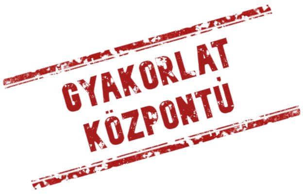 gyakorlat-központú gitártanár